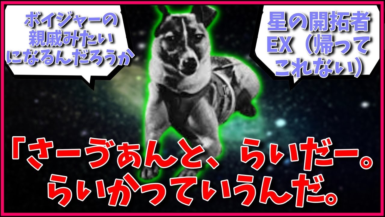 宇宙犬、ライカ召喚←人の心はないんか？に対するマスター達の反応集【FGO反応集】【Fate反応集】【FGO】【Fate/GrandOrder】