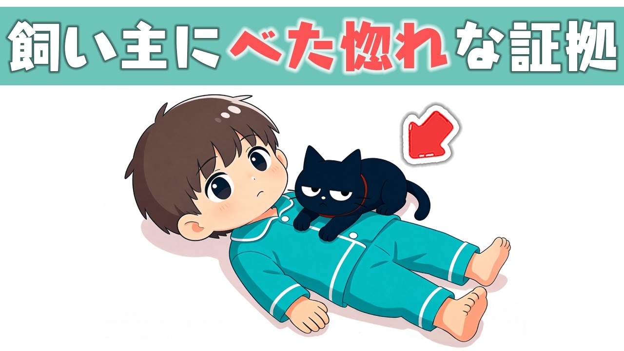 猫が飼い主を好きすぎてついやってしまう行動7選【猫雑学】