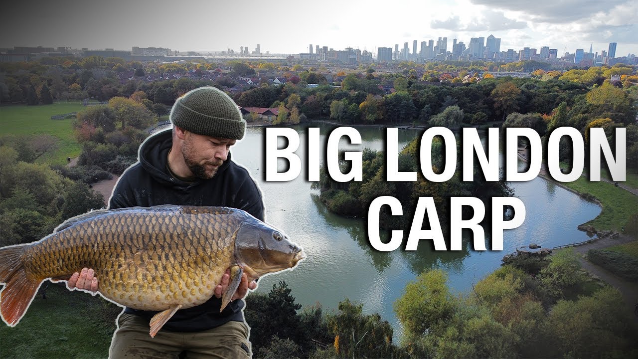 Ловля карпа в Лондоне &mdash; The Big Common