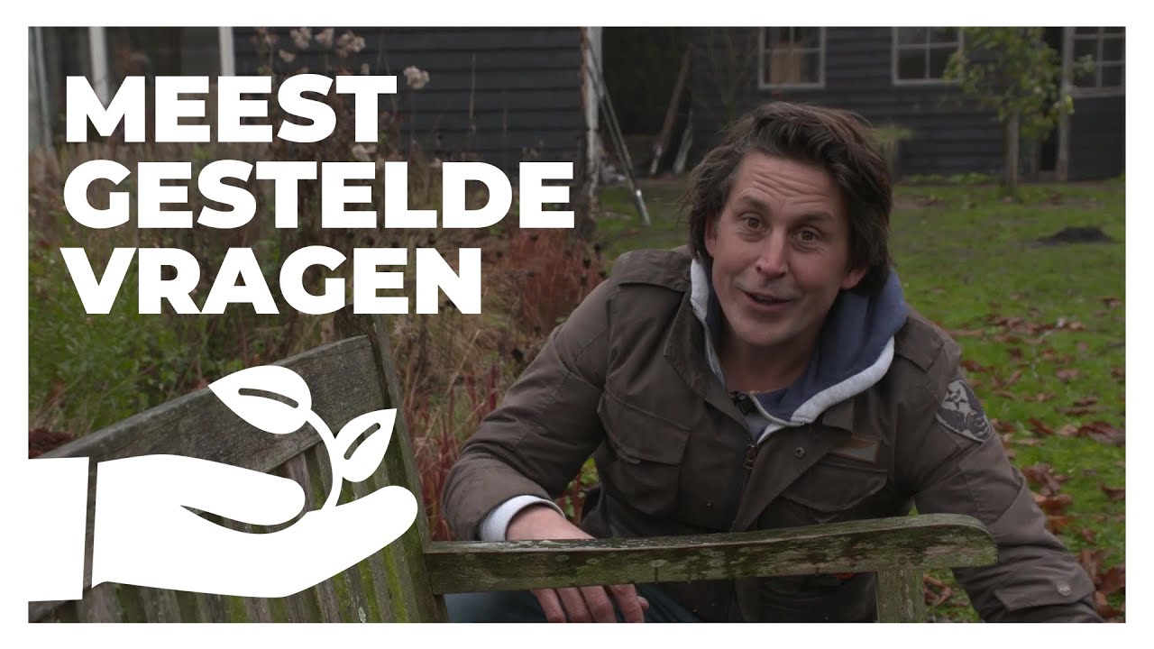 Hoe kan ik groene aanslag verwijderen? | Lodewijks Groene Geluk