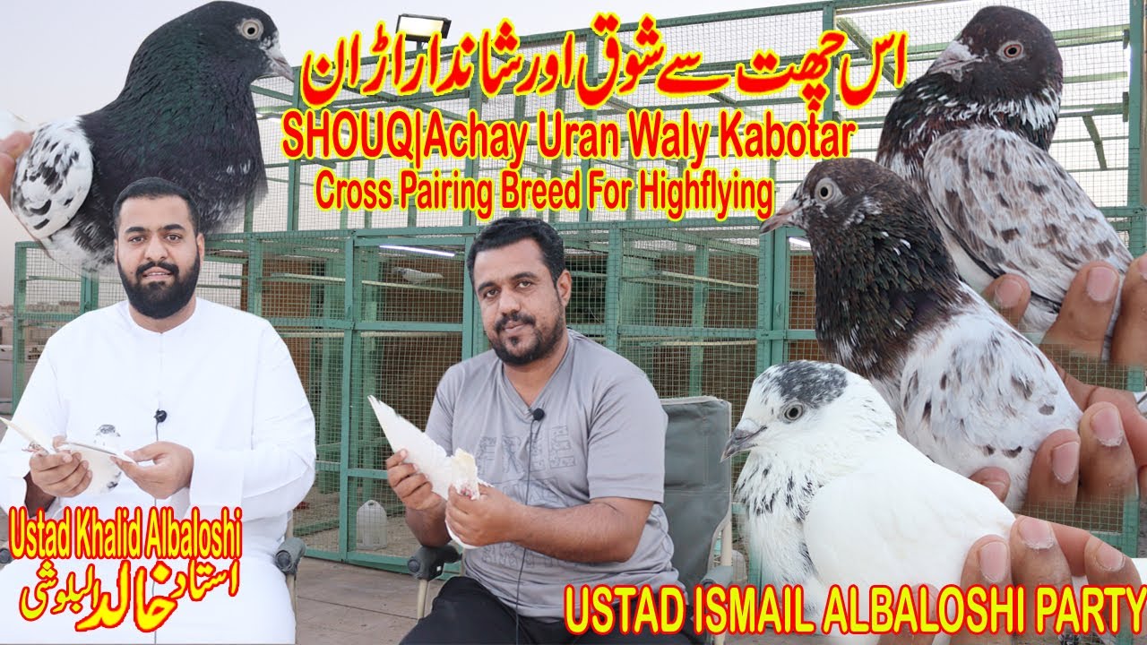Ustad Khalid Albaloshi|Shouq|Achay Uran Waly Kabotr 🕊|Ustad Ismail party|سطح الأستاذ خالدالبلوشي