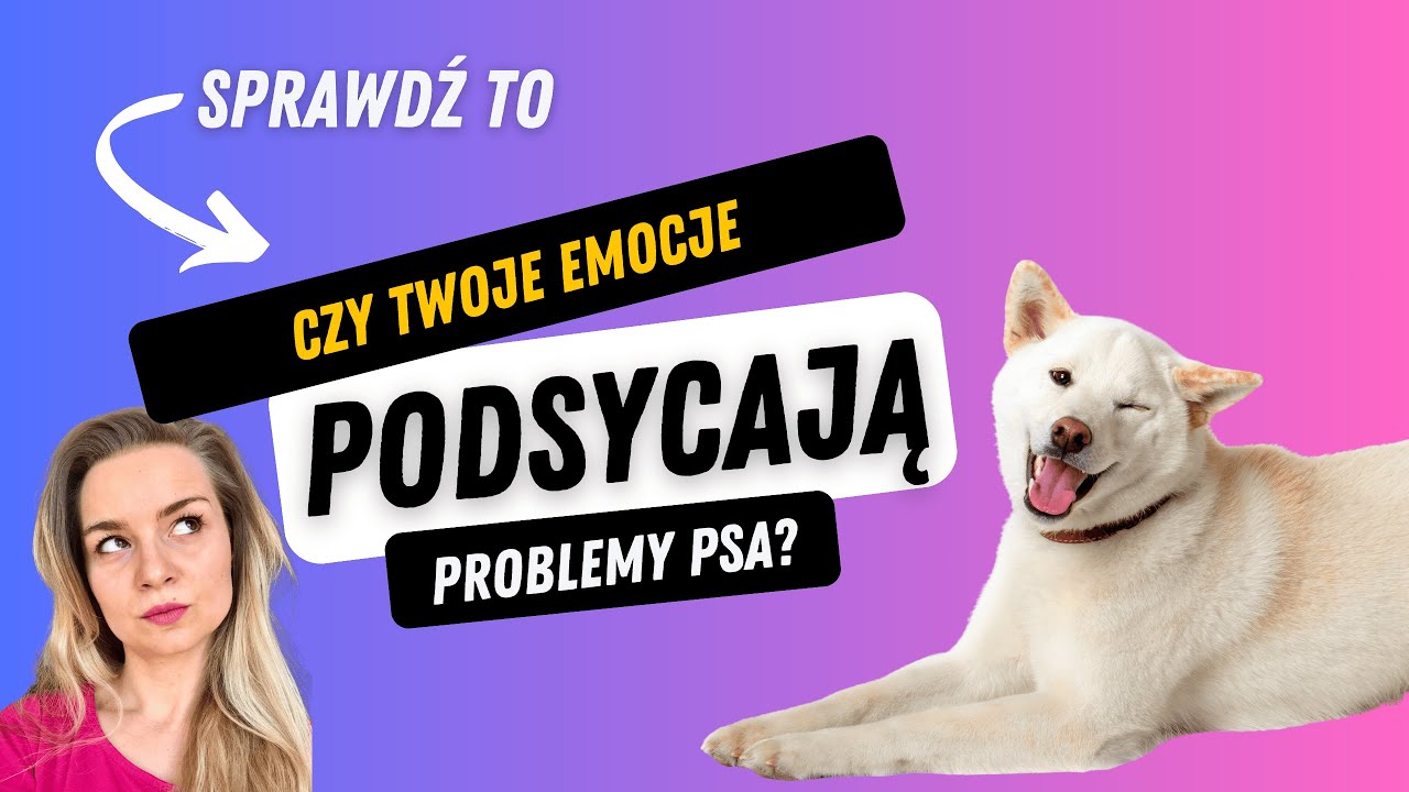 Czy Twoje emocje podsycają problemy psa?