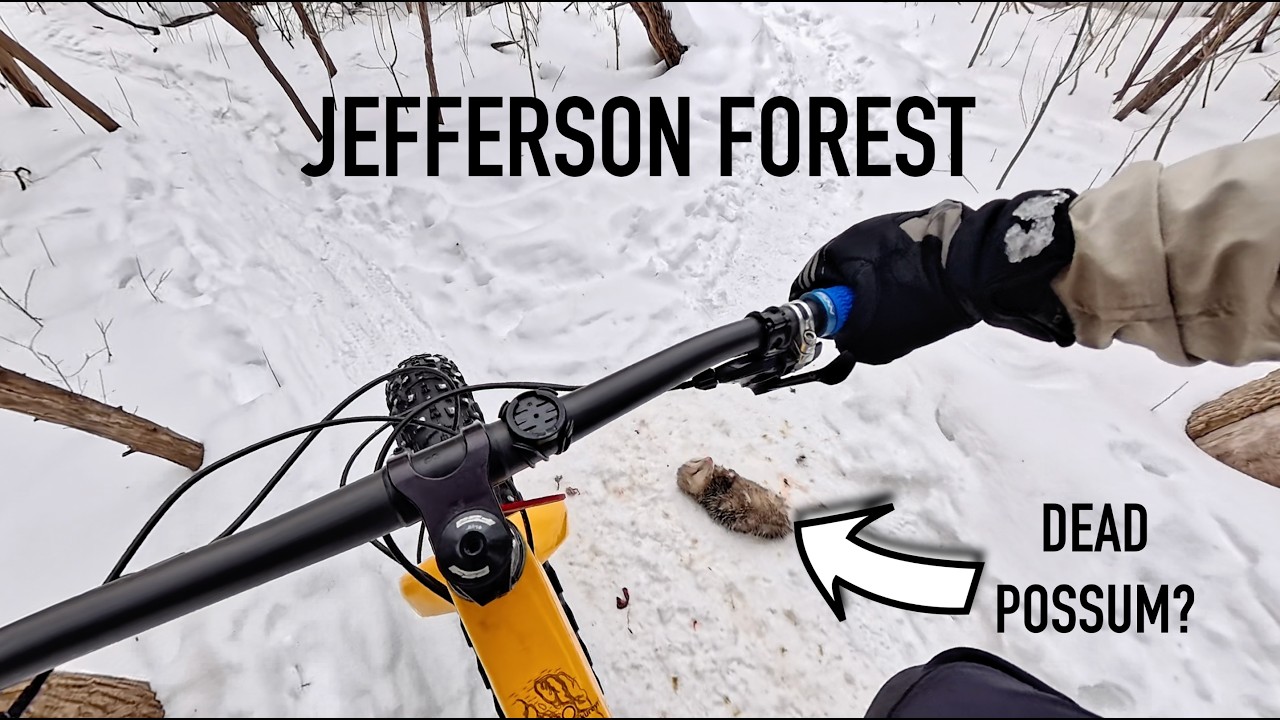Fat bike season is playing possum with us - it's not dead yet!!
