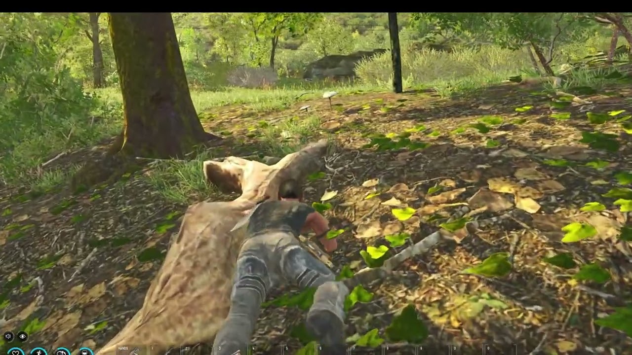 Scum Aim cheats