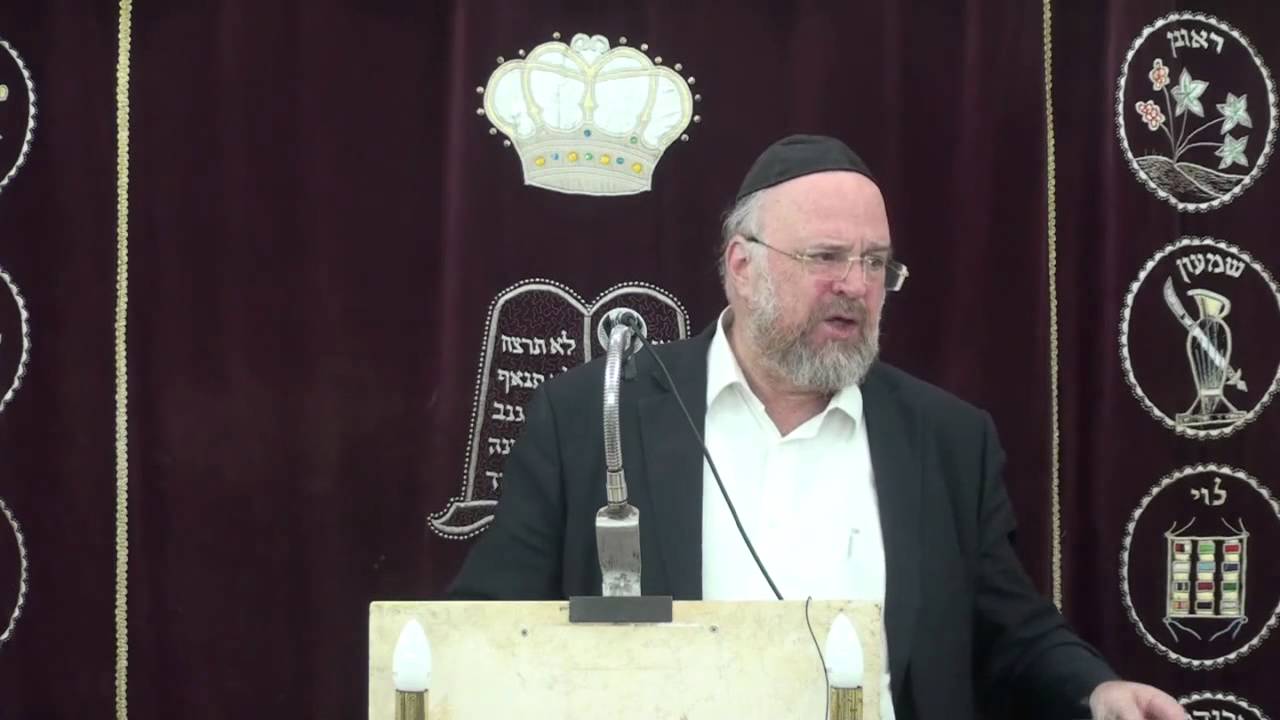 הרב ברוך רוזנבלום פרשת תזריע מצורע 7 תשע״ה Rabbi Baruch Rosenblum