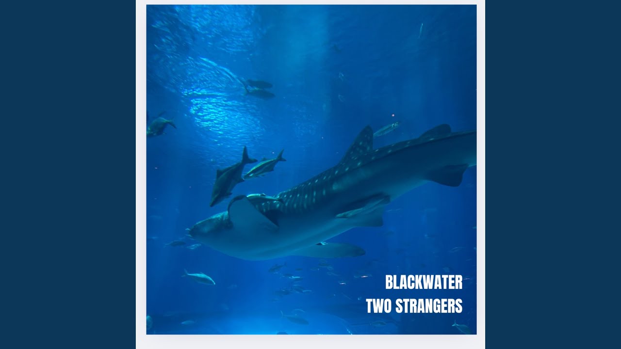 Two Strangers
