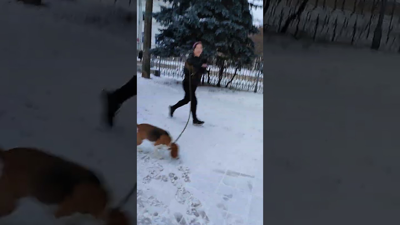 Від парку до ринку