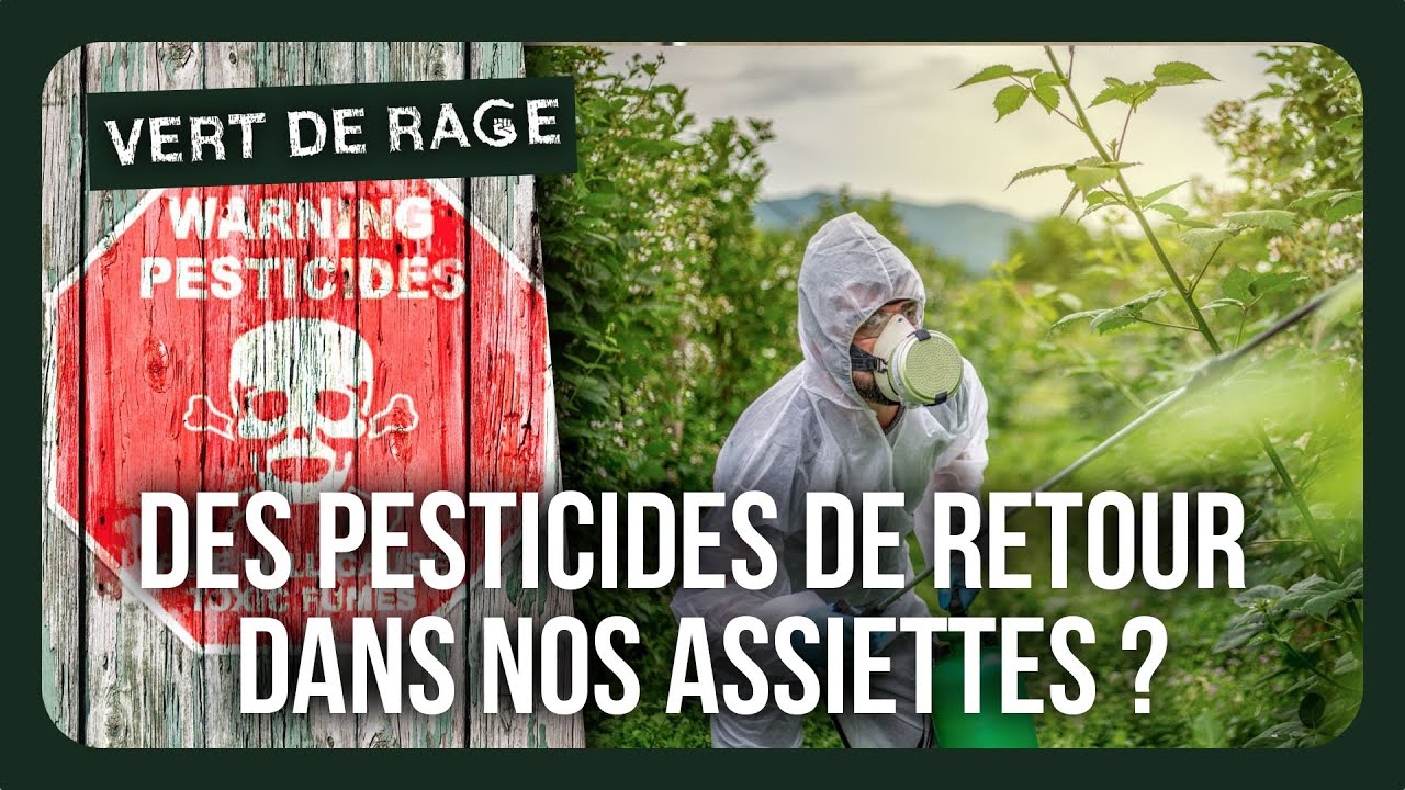 Des pesticides interdits en France toujours fabriqués sur le territoire ?