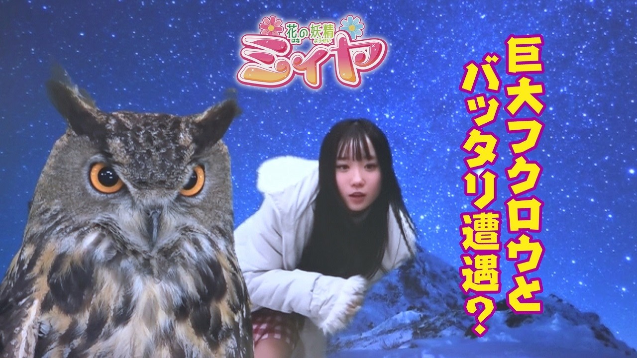 合成動画でショートストーリーを制作しよう♪ ミィヤさんは星空の下で巨大なフクロウと遭遇する動画になりました♪ ぜひ、ご覧あれ！