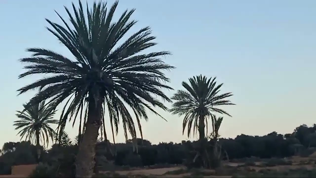 تركا اوكلو من أجمل المناطق في قلب نواحي تزنيت#tiznit #agadir #maroc