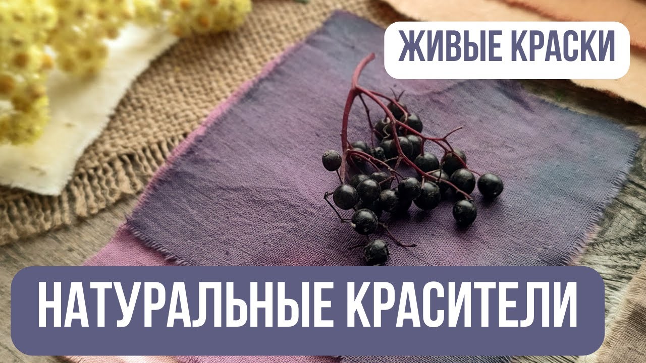 Натуральные красители для тканей. Обзор растительных пигментов