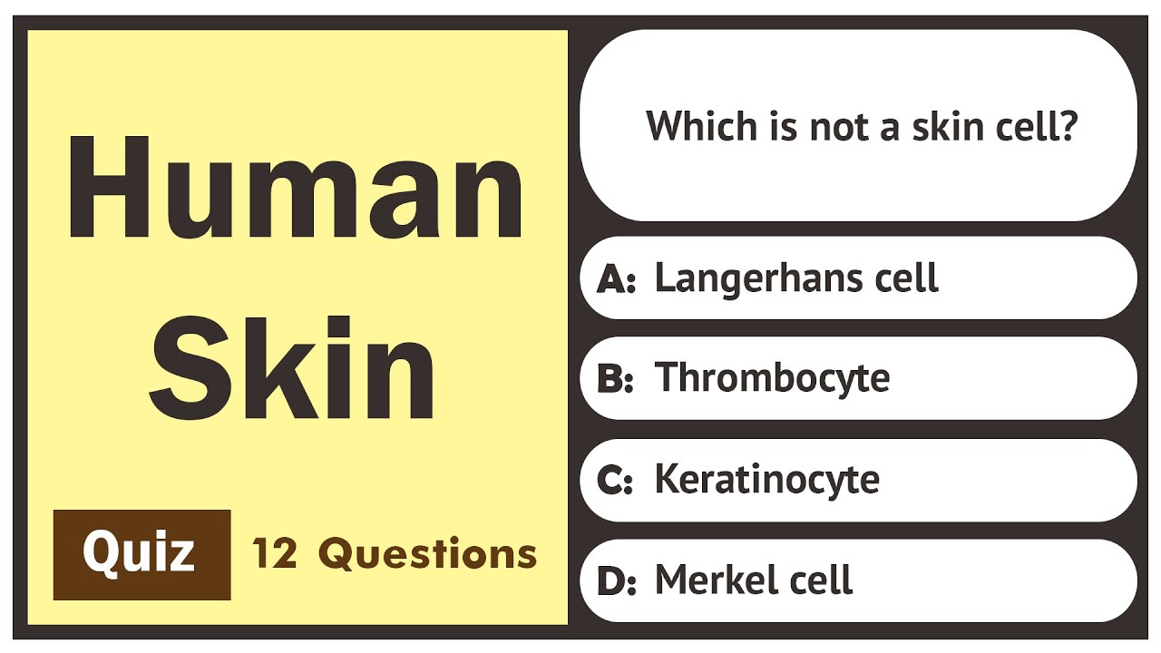 Human Skin - Quiz | 12 Questions | General Science Quiz