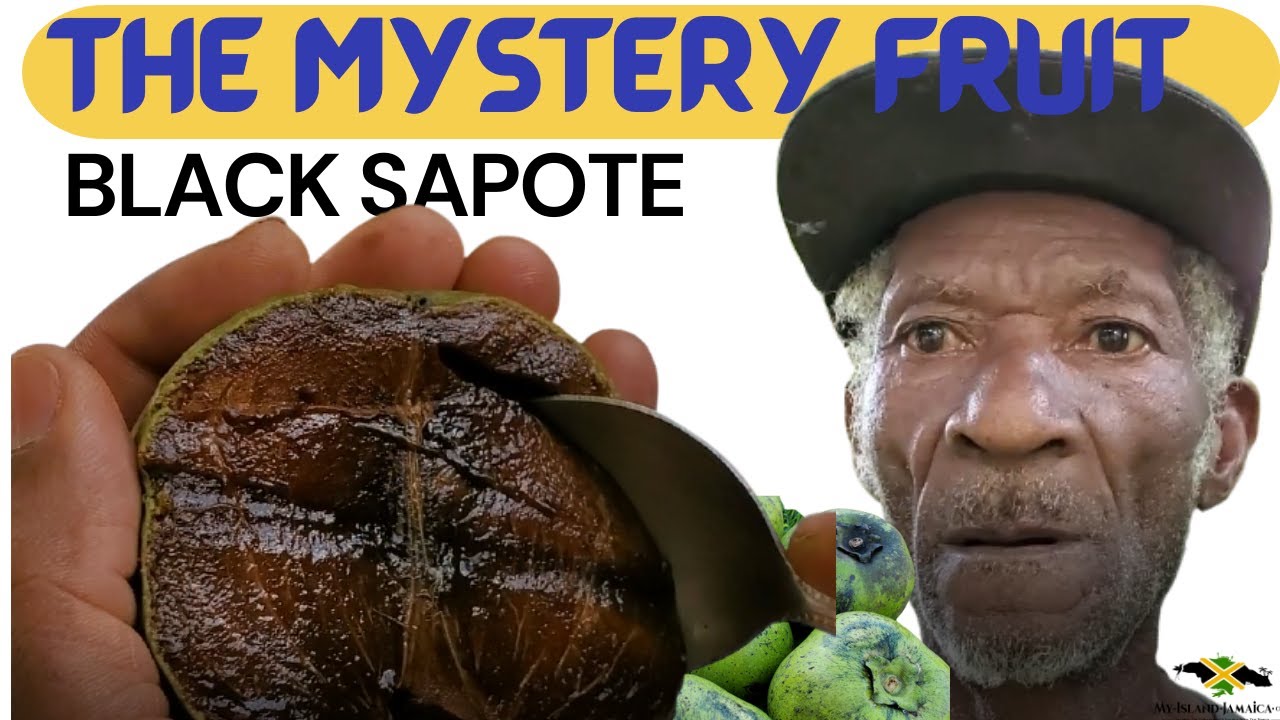 😲The Weird, MYSTERY FRUIT!  #BlackSapote 🍈  #ChocolatePuddingFruit #sapote