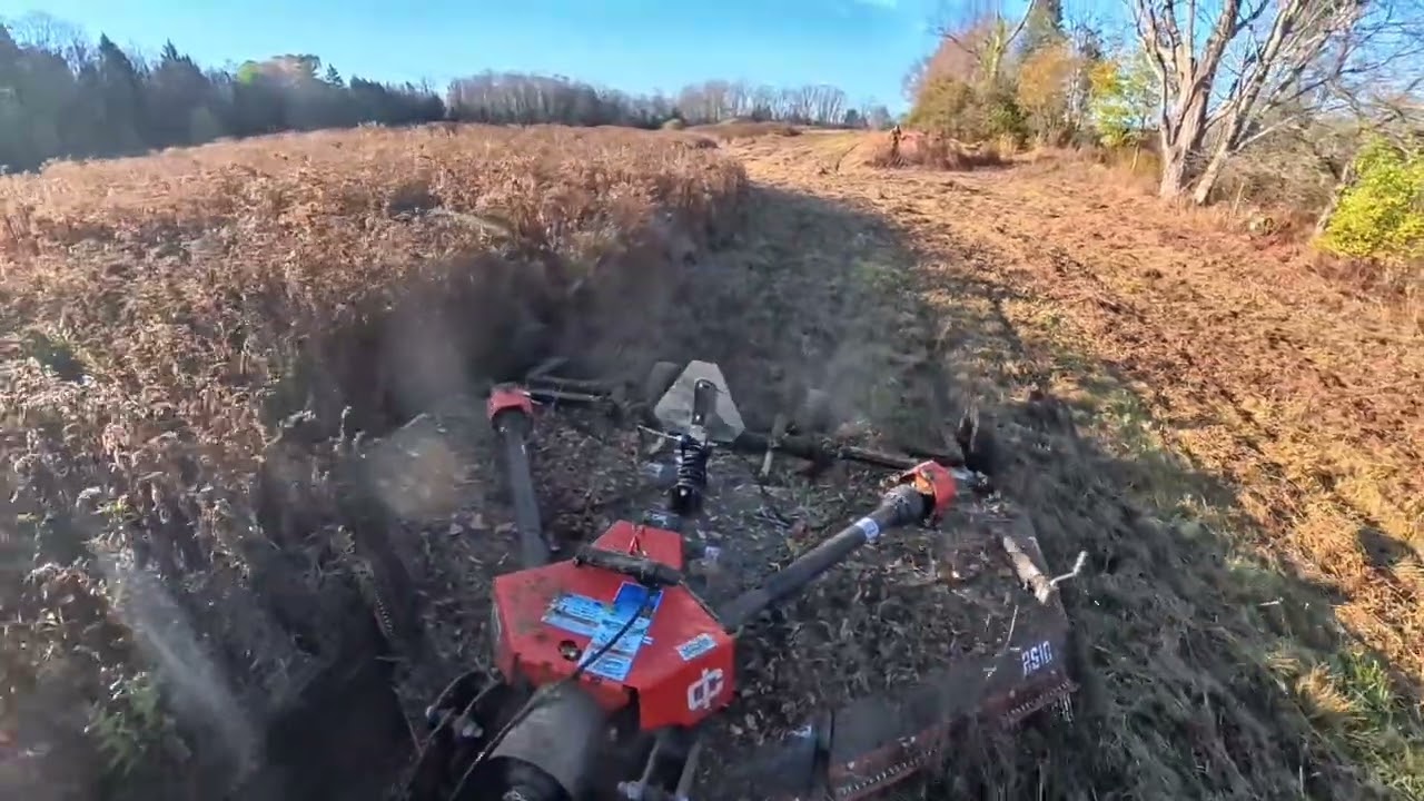 Tackling 16 Acres of Overgrowth! Part 3