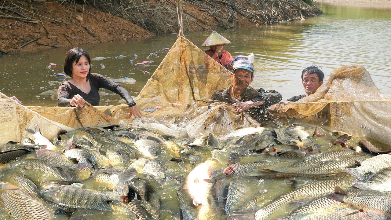 With The Villagers To Cast Nets To Catch Lots Of Fish, Get Fish To Raise, Cooking Fish