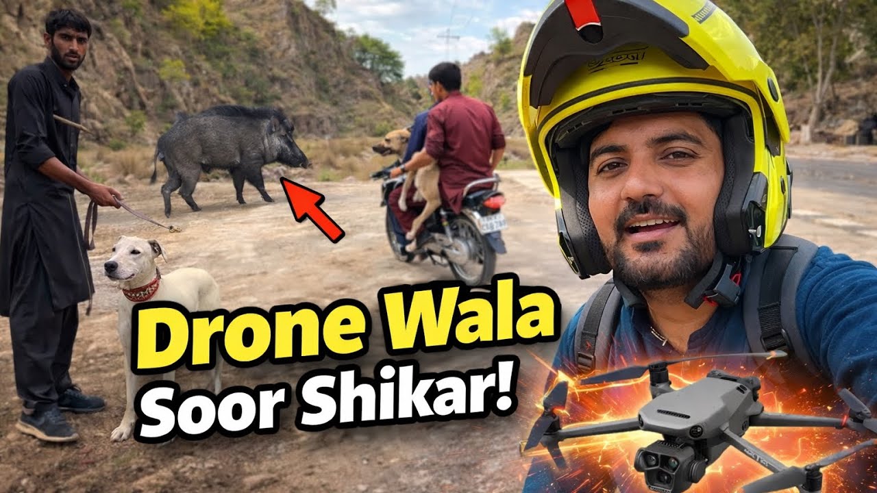 Biggest Pig Ever Seen on Drone Camera 😱 | Wild Boar vs 10 Dogs