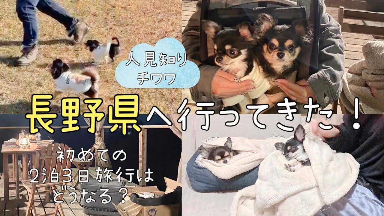 【旅行前編】人見知りチワワが行く、初めましてのメンバーで初めて体験する2泊３日旅行【前編】
