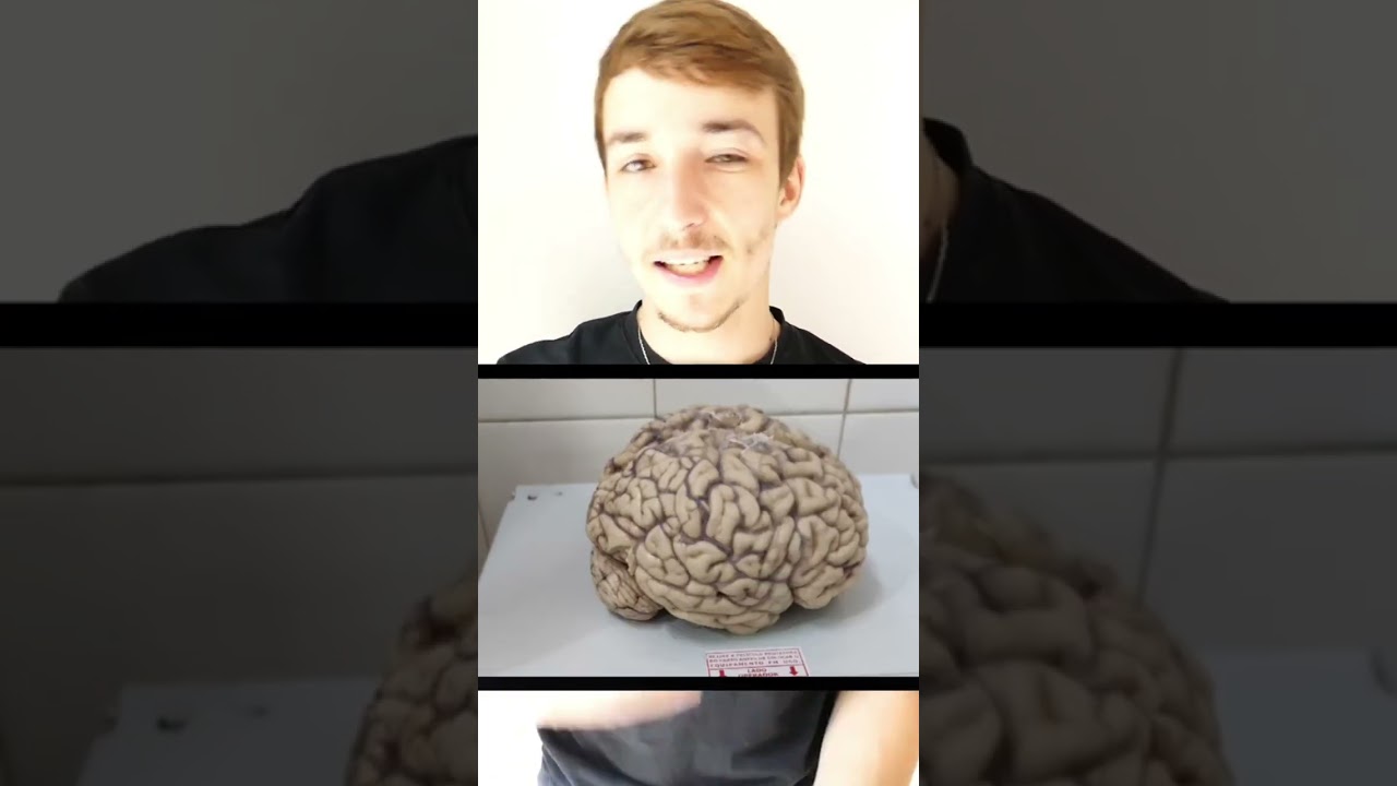 Le cerveau r&eacute;tr&eacute;cit avec l'&acirc;ge 🧠 #cerveau