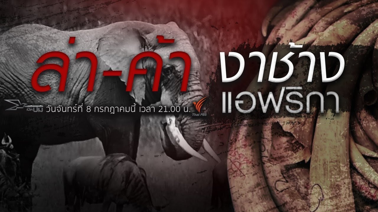 ล่า - ค้า งาช้างแอฟริกา​​ : เปิดปม (8 ก.ค. 62)