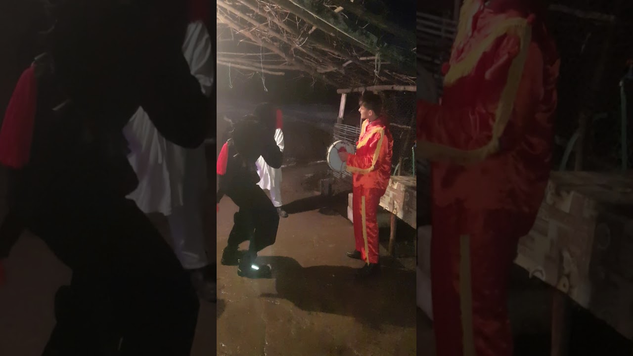 Ursul de la Rediu comuna Braesti 2019 /2020