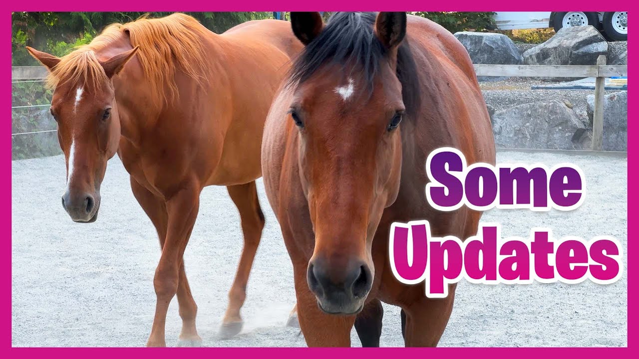 Updates And A Quick Story About Roni