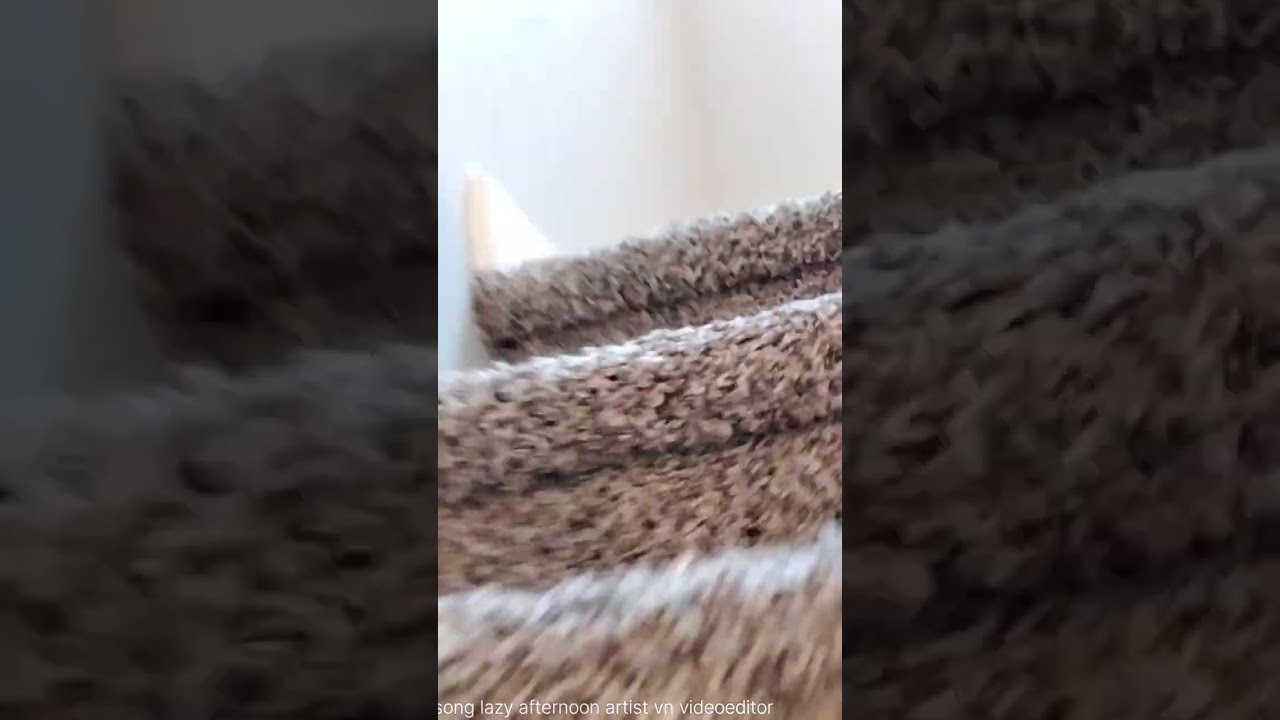 Tiny guy adventures