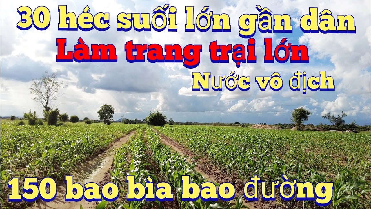 Cần nhượng 30 Ha đất cách dân, nước điện vài trăm mét, lh 0983803253
