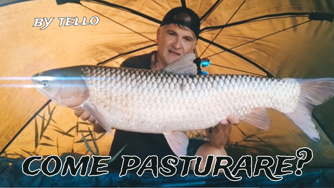 CARPFISHING.come e quanto pasturare..1"parte