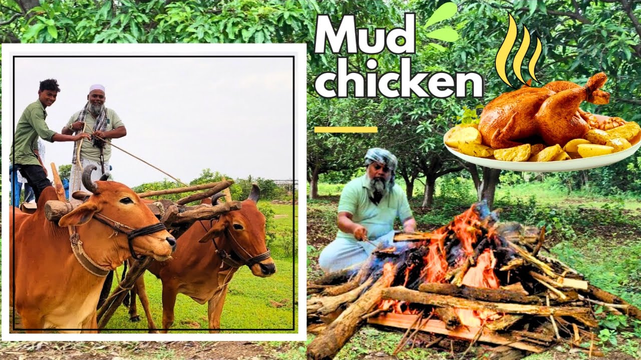 mud chicken in village | making clay molded chicken recipe in desi style | Baked mud chicken recipe