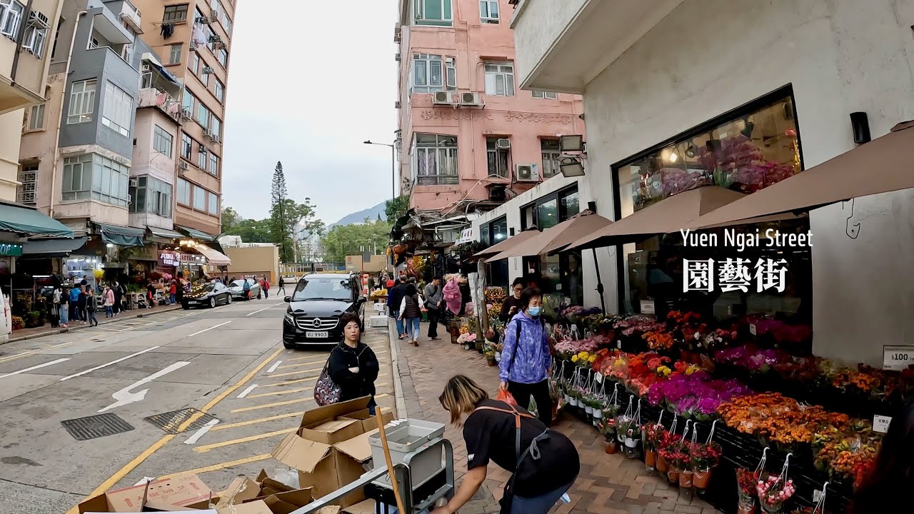 園藝街 | Yuen Ngai Street | Walking in Hong Kong | 2026