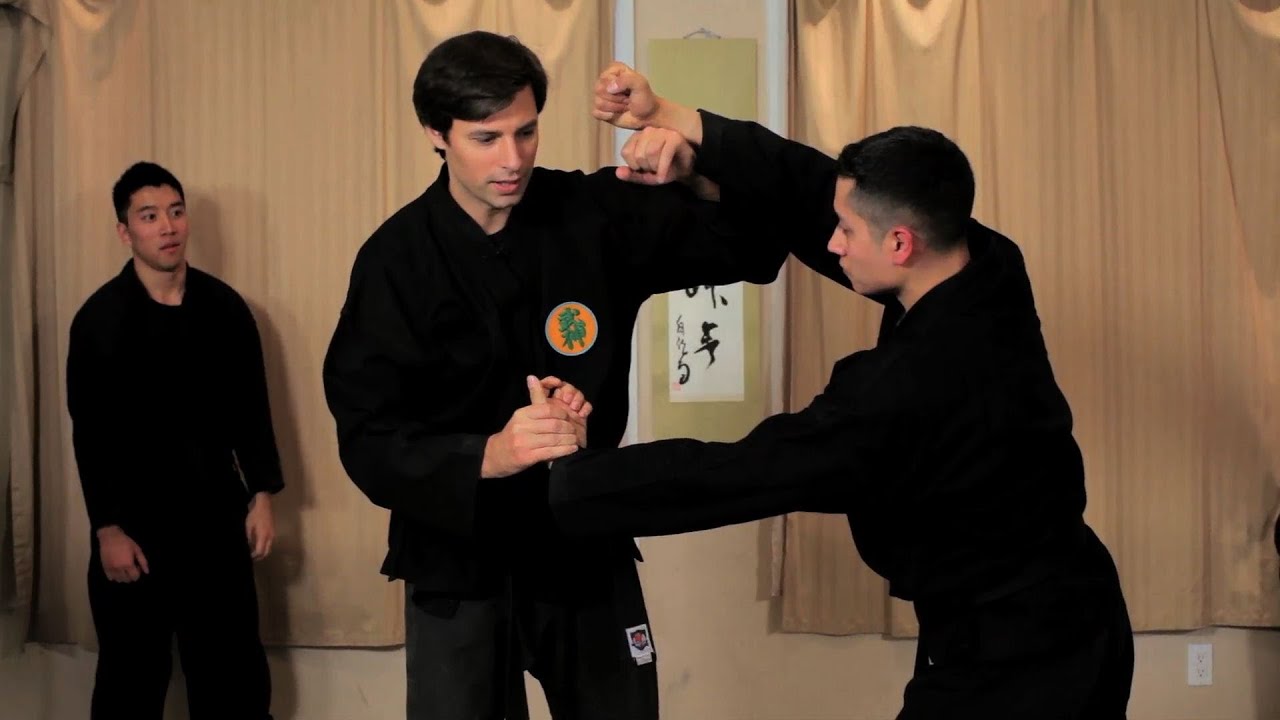 Fubuki from Kukishinden Ryu Advanced | Ninjutsu Lessons