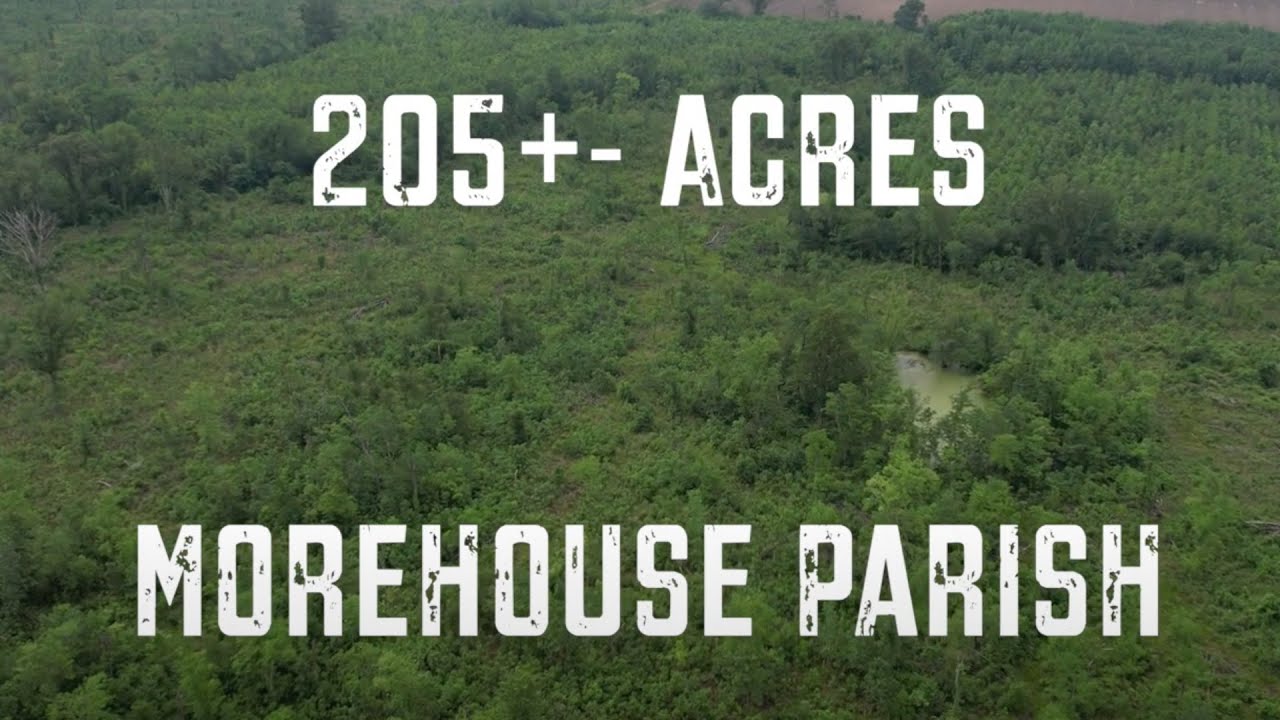 205+- Acres for Sale in Morehouse Parish, Louisiana (Big Deer Land for Sale)