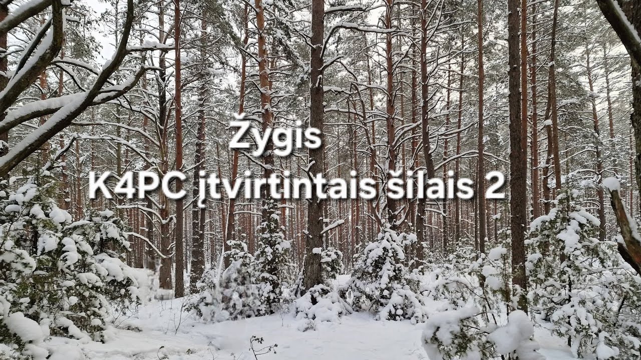 Molotovo linijos ginybiniai įtvirtinimai.