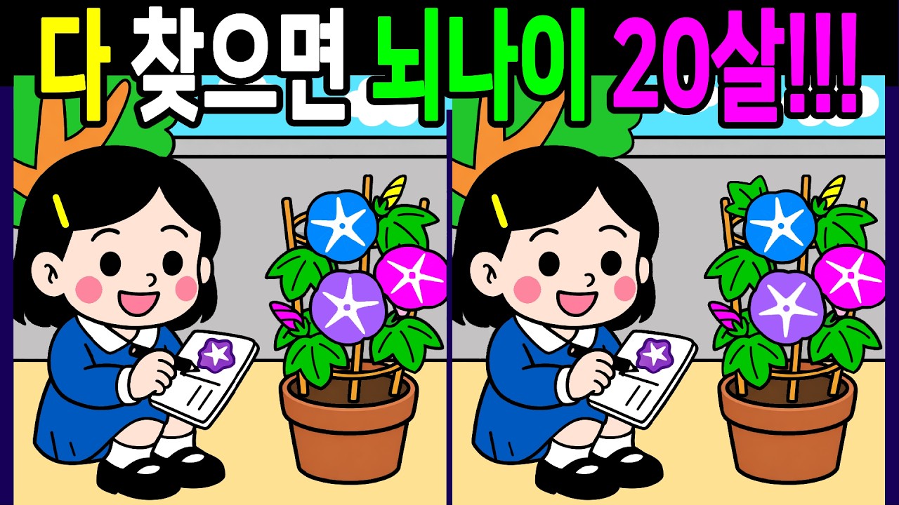 생각보다 은근히 헷갈리는 문제 다 풀면 눈썰미가 좋아지는 다른그림찾기 끝까지 풀게 돼요 관찰력 퀴즈 30분 복습문제!【 Find Difference 間違い探し】