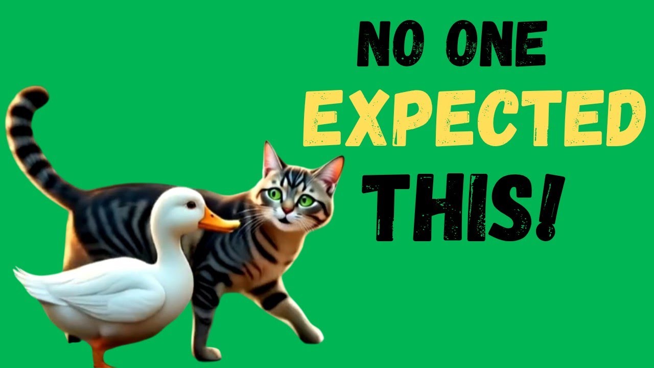 Cat &Duck Friendship @Monokidsworld 