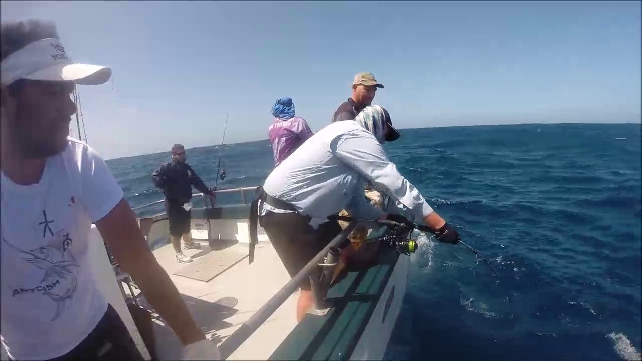 Jigstar OZ - Three Kings New Zealand trip Jan 2017
