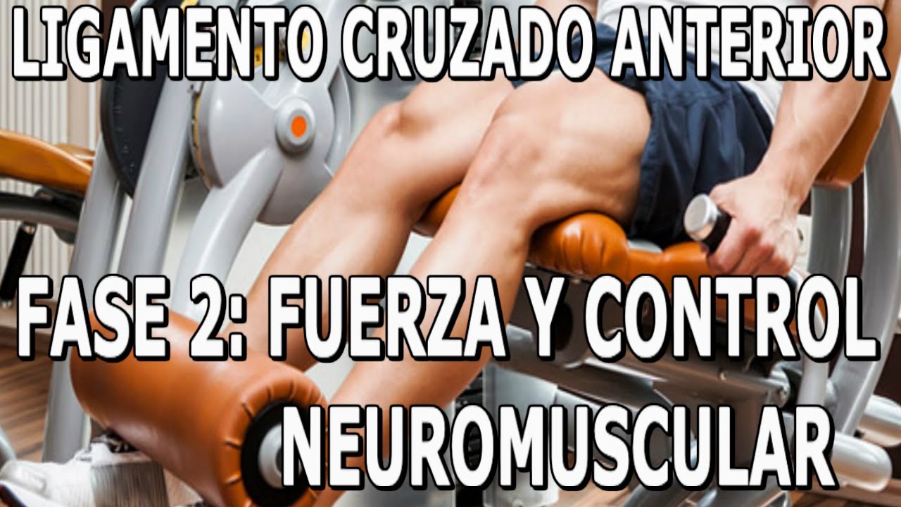 EJERCICIOS LIGAMENTO CRUZADO ANTERIOR. FASE 2. FUERZA Y CONTROL. Rehabilitación y Fisioterapia