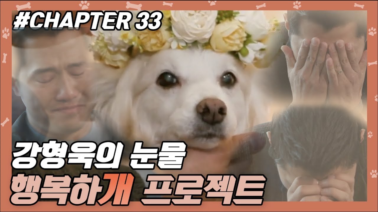 CHAPTER 33 | 강형욱의 눈물.. 행복하'개' 프로젝트 !! #강형욱 #개통령 #개훈련사 [개는 훌륭하다] ㅣ KBS방송