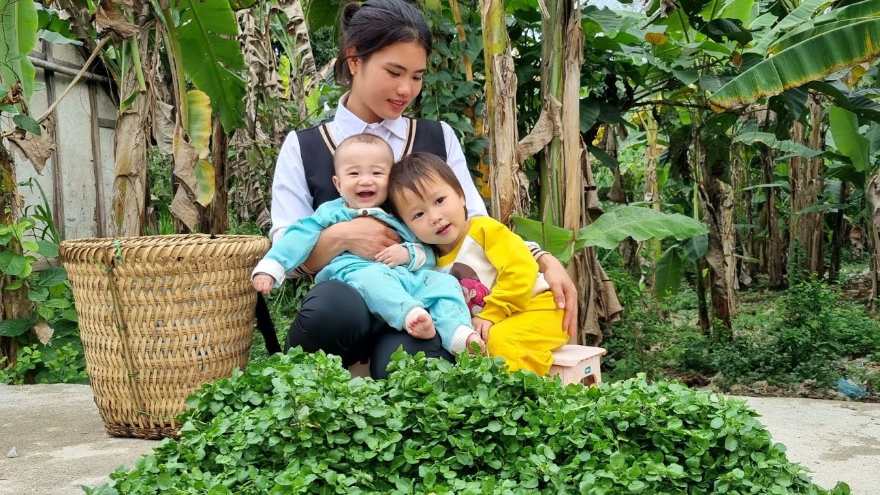 Single girl: Harvest Watercress with her children Goes to market to sell | Happiness with your child