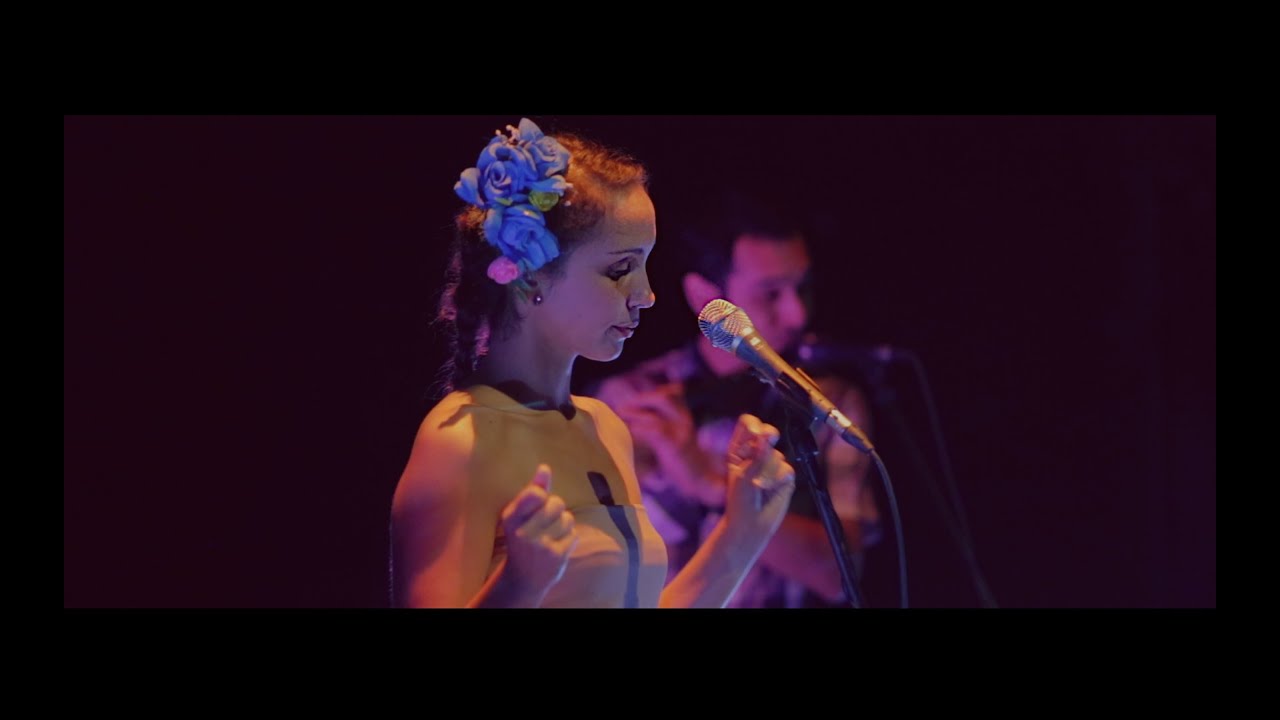 La L&aacute; - Concierto Rosa