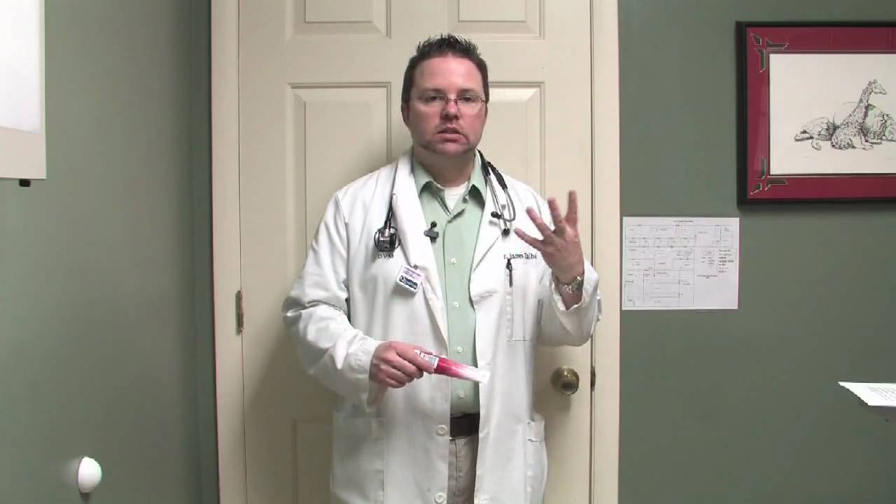Dog & Cat Diseases : Cat Hairball Symptoms