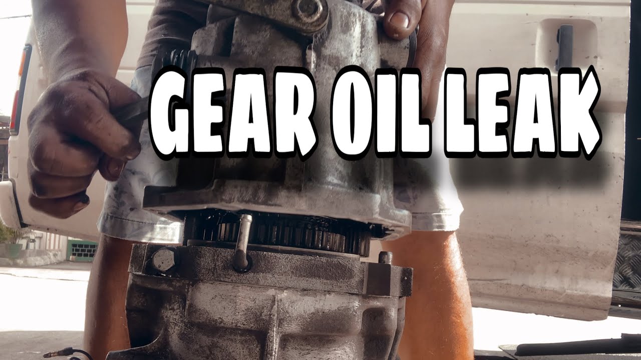 Gear oil leak replacement oring seal
