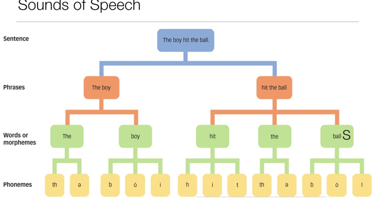 Perception: 11.1 Speech Sounds