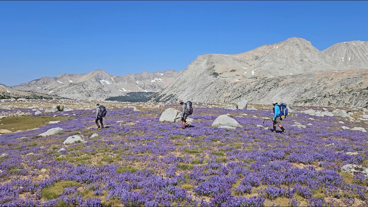 Bear Lakes Loop - Sierra 2024