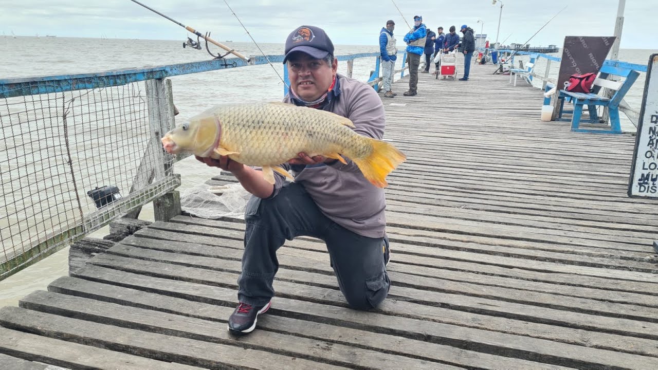 Omnívoros en la Asociación Argentina de Pesca