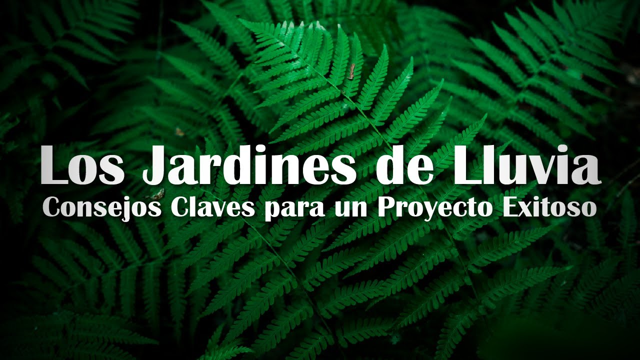 Jardines de lluvia (Rain gardens)