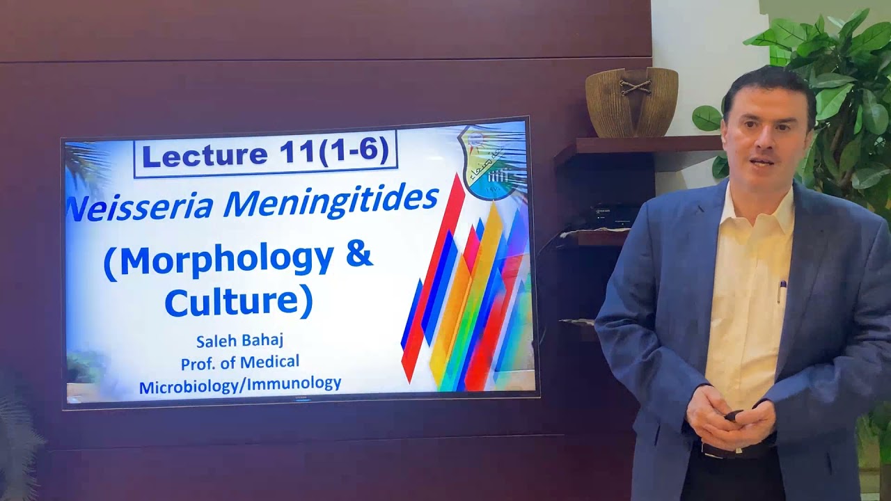 11 (1-6) Neisseria meningitides (Morphology & Culture)