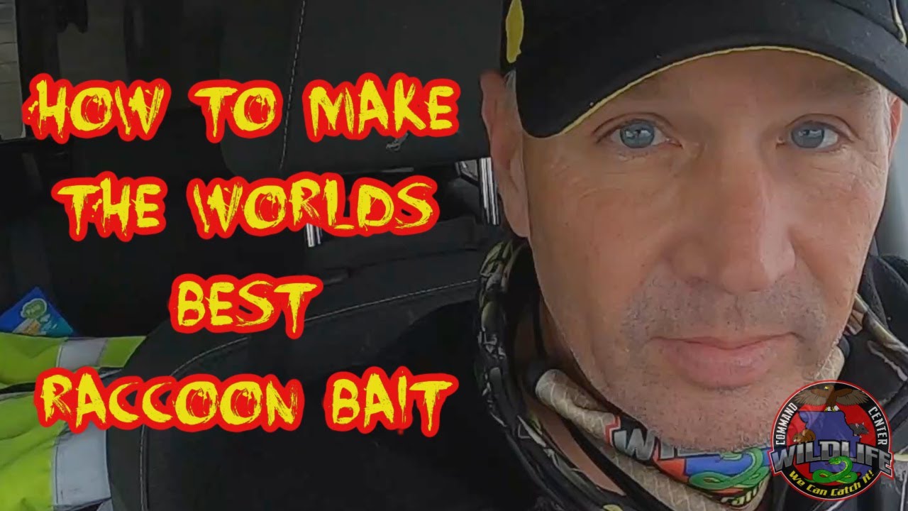 1.32 How To Make the Worlds Best Raccoon Bait for live trapping