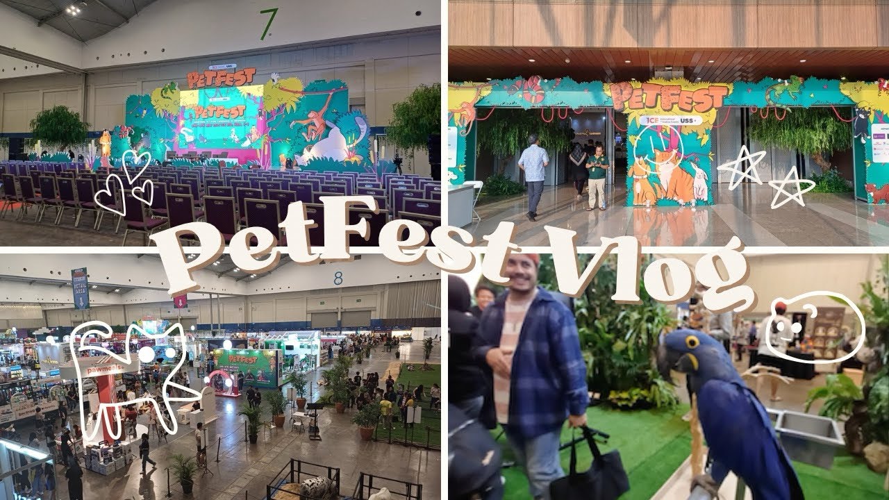 PETFEST INDONESIA ICE BSD CITY 2025 | Pameran Hewan Peliharaan Lucu & Unik 🐰🐱🐶🐷🐴✨