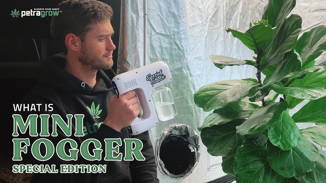 What is the Mini Fogger Special Edition? | PetraGrow&trade;